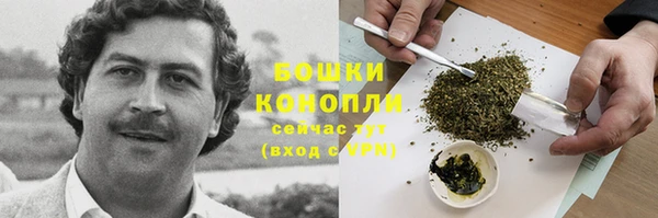 трава Балахна